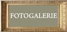 Fotogalerie-mensi